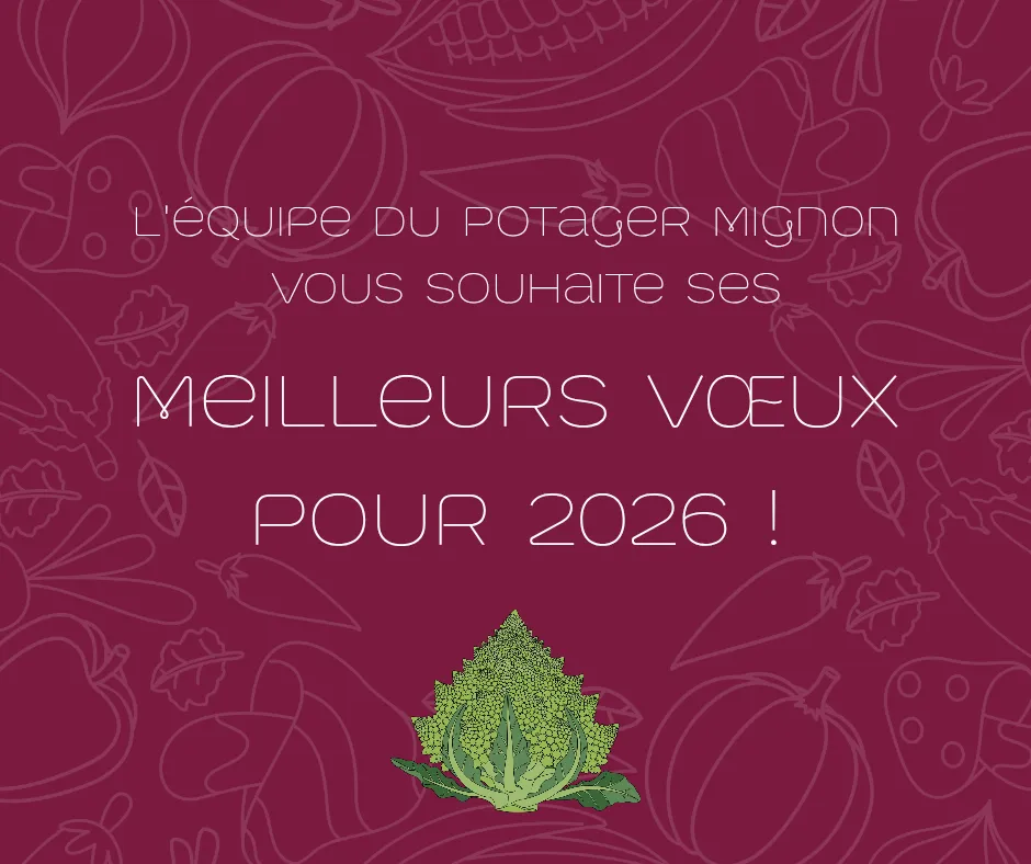 Voeux 2026
